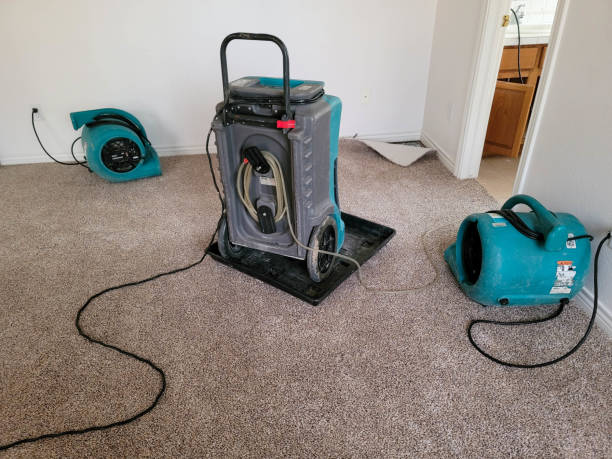 Best Flood damage cleanup  in Troy, AL