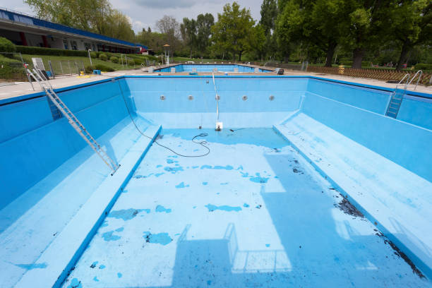 Best Basement water damage restoration  in Troy, AL