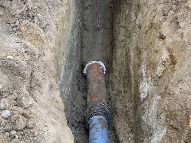 Best Sewage cleanup and water damage restoration  in Troy, AL