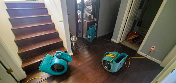  Troy, AL Water damage restoration Pros