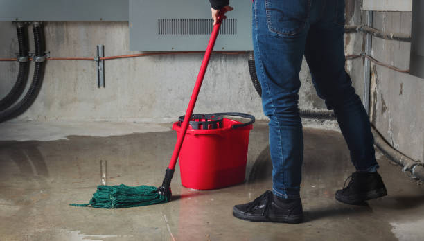 Best Water damage contractors near me  in Troy, AL
