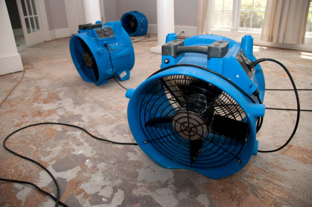 Best Water damage restoration services  in Troy, AL