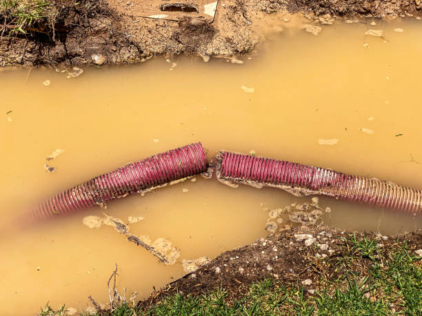 Water damage restoration process in AL